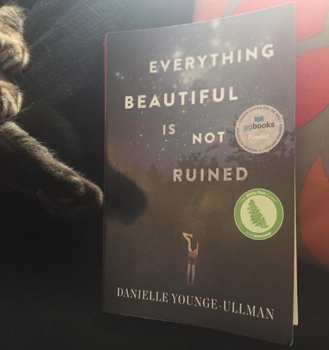Everything Beautiful is Not Ruined book cover