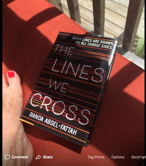 The Lines We Cross book cover