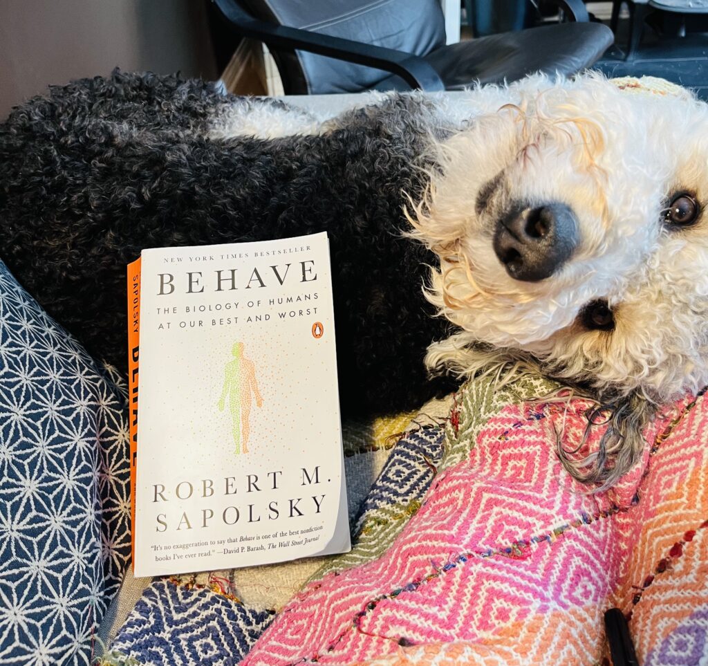 Behave book cover