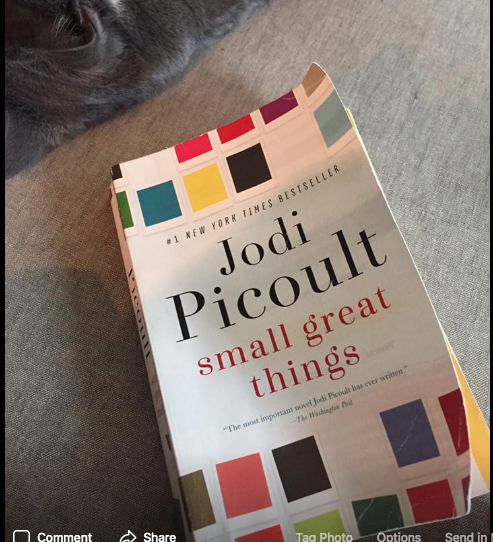 Small Great Things book cover