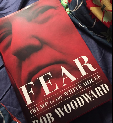 Fear book cover