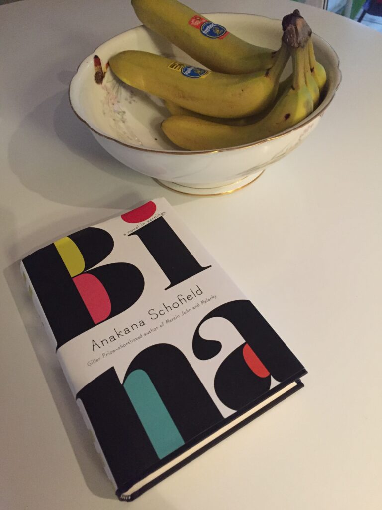 Bina book cover
