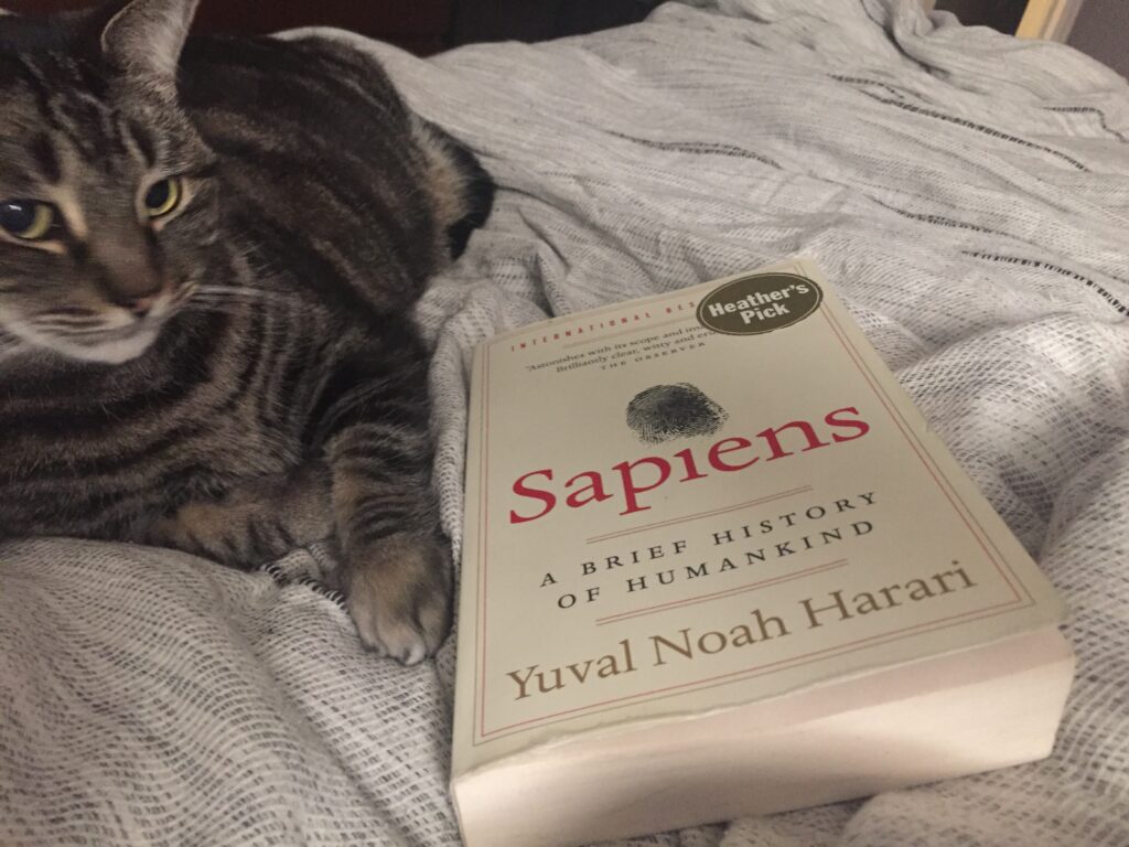 Sapiens book cover