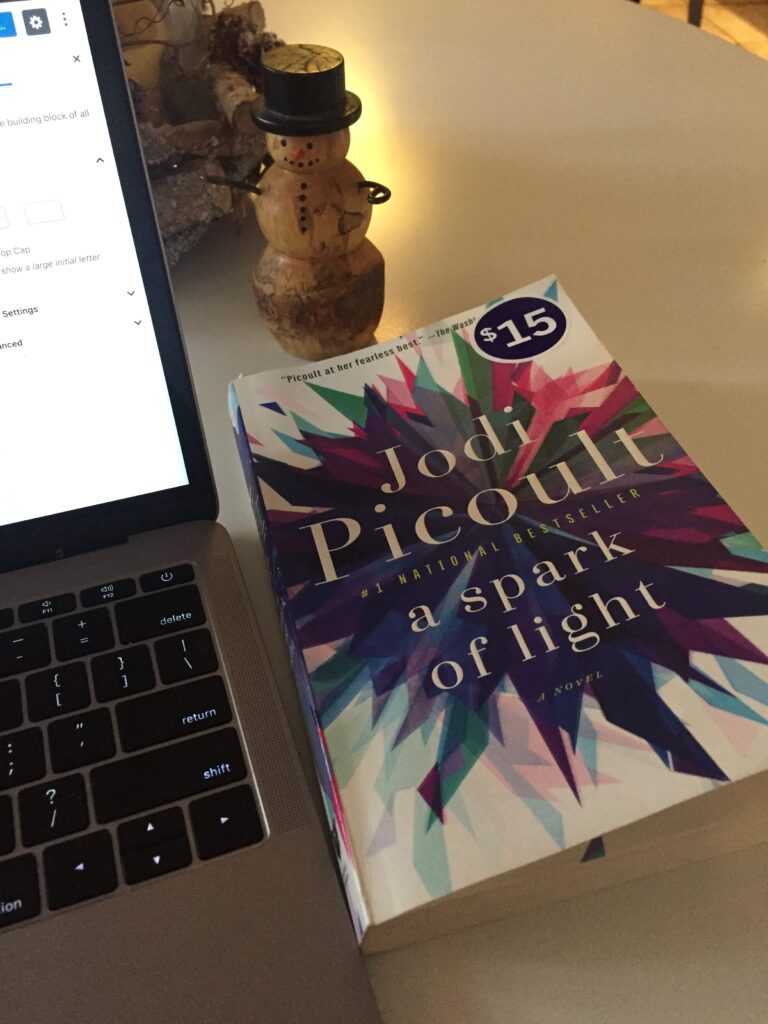 A Spark of Light book cover